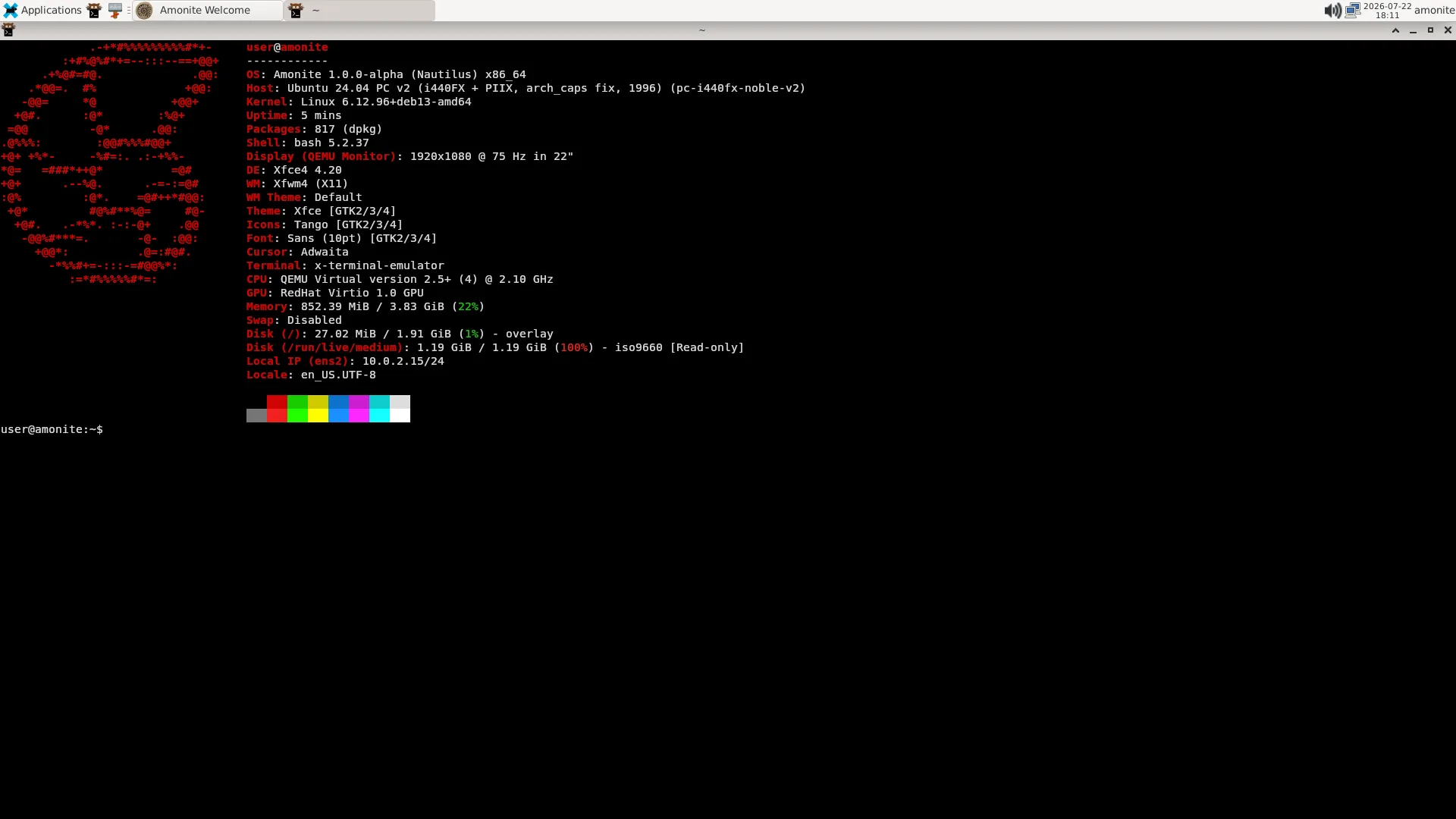 Maximized terminal on Amonite showing fastfetch output with the Amonite ASCII mark and system details